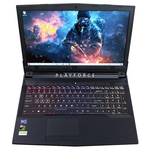 MX15 Pro (i7-8750H, GTX 1060, 8GB, 1TB+250GB SSD, 15-inch)
